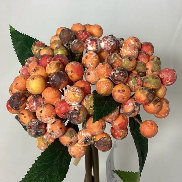 Berry (Bundle 3 Stems) Orange