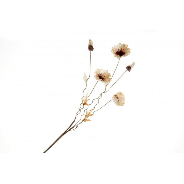 Dry Poppy Spray - Cream (5 heads)