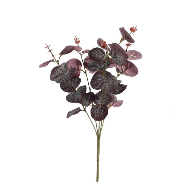 Purple Eucalyptus Bush