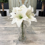 Flora Bottle (19cm x 7.5cm)