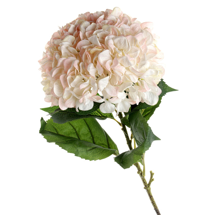 Large Hydrangea - Blush Pink (30cm diameter, 106cm long)
