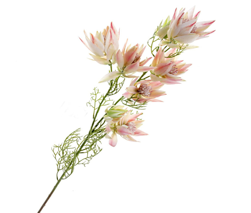 Artificial Leucadendron Spray - Light Pink/Green (9 heads, 68cm long)
