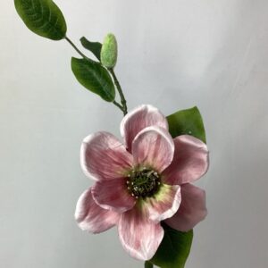 Amore Single Magnolia Pink