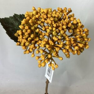 Amore Hydrangea BERRY Cluster Mustard