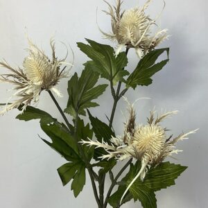 Amore Wild Sea Holly Spray x 3 Heads Cream