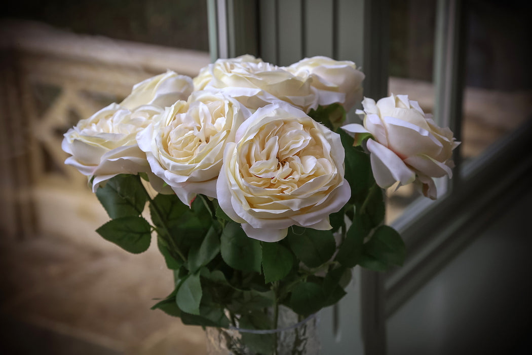 Garden Rose - Cream (50cm long)