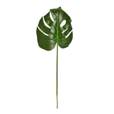 SPLIT PHILODENDRON LEAF STEM