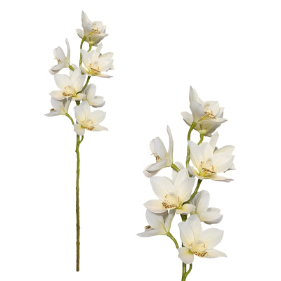 CYMBIDIUM ORCHID STEM X 10