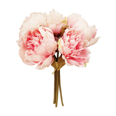 BABY PINK PEONY X 5 POSY