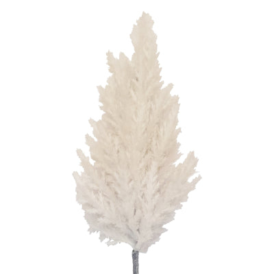 PAMPAS STEM