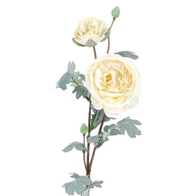 PEACH PEONY X 2 STEM