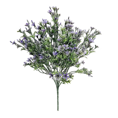 BLUE BLOSSOM FOLIAGE X 7 BUSH