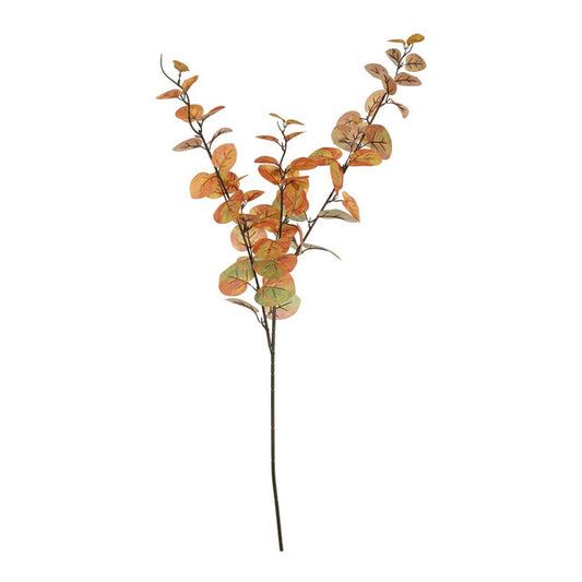 Orange/Green Eucalyptus Stem