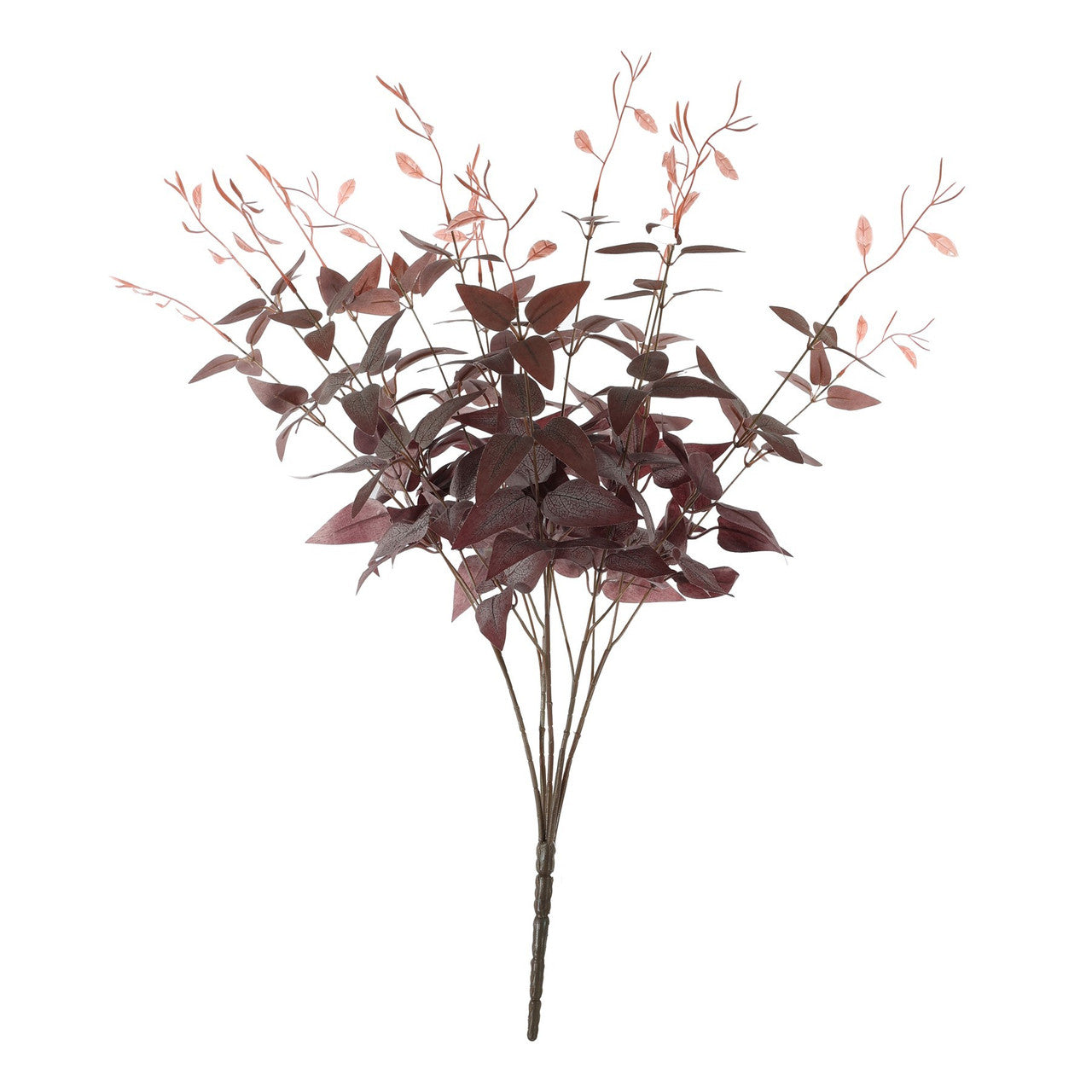 Red Ruscus Bush