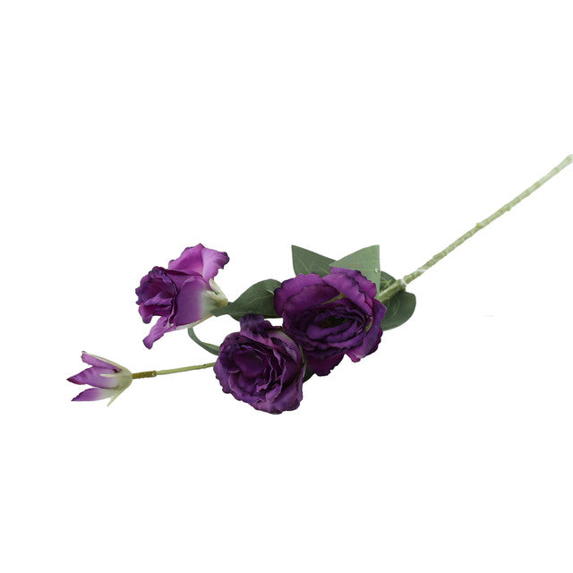 Purple Lisianthus