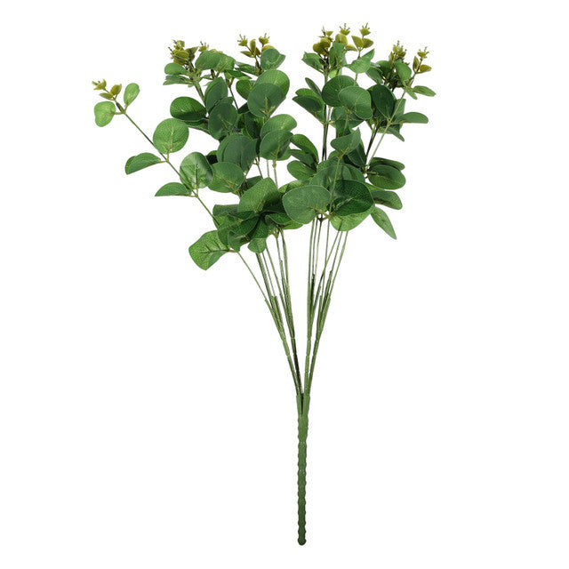 Green Eucalyptus Bush
