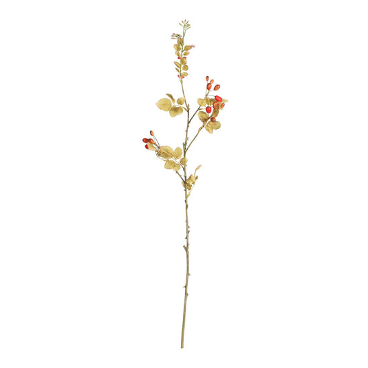 Botanica Rose Hip Spray (85cm)