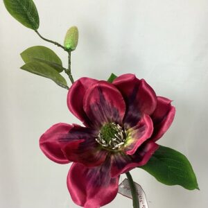 Amore Single Magnolia Burgundy