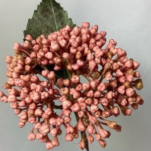 Amore Hydrangea BERRY Cluster Pin