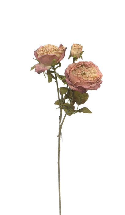Dry Garden Rose Spray - Pink (2 heads, 1 bud. 59cm long)