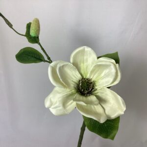 Amore Single Magnolia Ivory