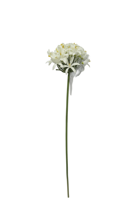 Artificial Agapanthus - Cream (80cm long)