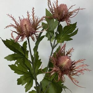 Amore Wild Sea Holly Spray x 3 Heads Pink