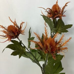 Amore Wild Sea Holly Spray x 3 Heads Orange