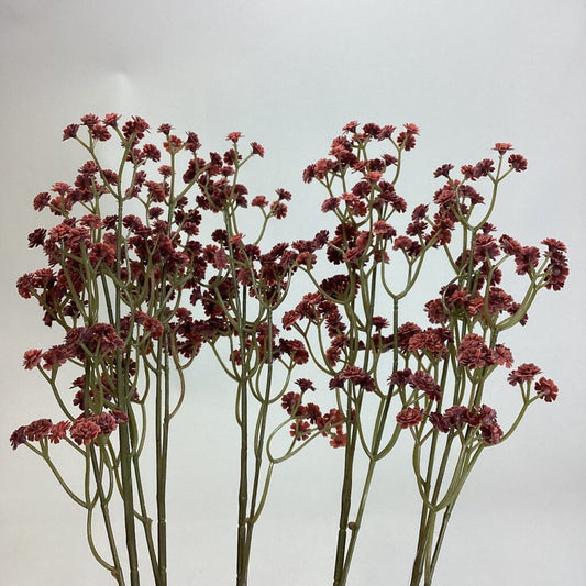 Gypsophila Spray (Pack 5 stems) Burgundy/Mauve Mix