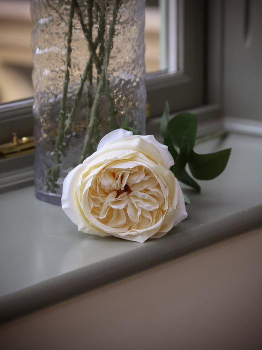 Garden Rose - Cream (50cm long)