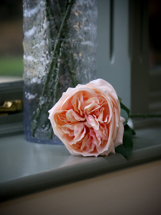 Garden Rose - Peach (50cm long)