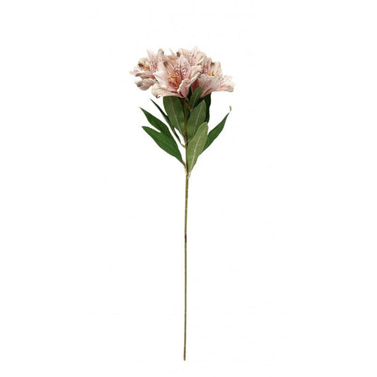 Click to expand Alstroemeria Spray - Pink/White (6 heads, 60cm long)