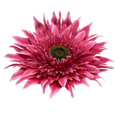 BEAUTY GERBERA STEM