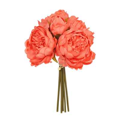 CORAL PEONY X 5 POSY