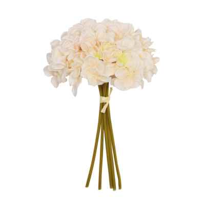 LIGHT PEACH HYDRANGEA X 5 POSY