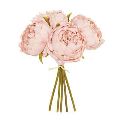 BISQUE PEONY X 5 POSY