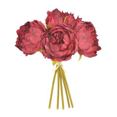 BORDEAUX PEONY X 5 POSY