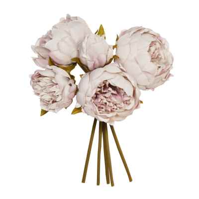 GREY PEONY X 5 POSY