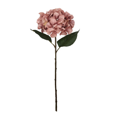 PUCE HYDRANGEA STEM