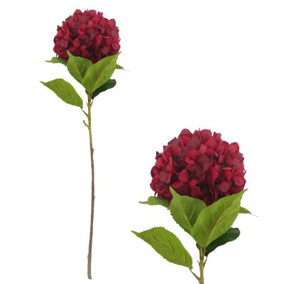 RED HYDRANGEA STEM