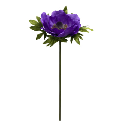 PURPLE ANEMONE STEM