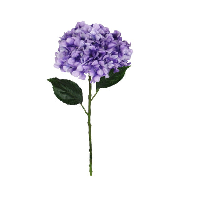 PURPLE HYDRANGEA STEM