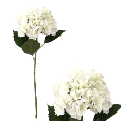 CREAM HYDRANGEA STEM