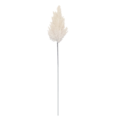 PAMPAS STEM
