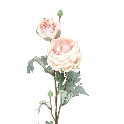 LIGHT PINK PEONY X 2 STEM